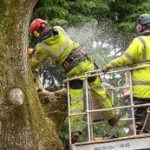 images - 2024-10-10T152209.442