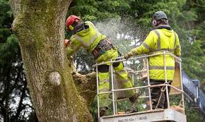 images - 2024-10-10T152209.442