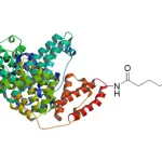 CM52111_C6_Maleimide_activated_BSA_HL__20948